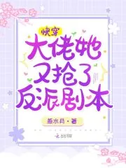 《快穿:大佬她又抢了反派剧本》小说封面
