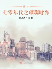 《重生年代之璀璨时光》小说封面