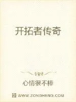《开拓者传奇》小说封面