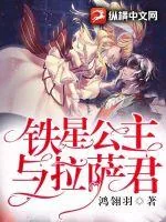 《铁星公主与拉萨君》小说封面