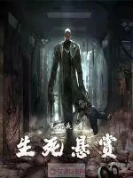 《生死悬赏》小说封面