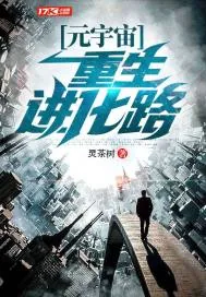《元宇宙：重生进化路》小说封面