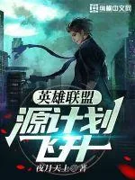《英雄联盟：源计划飞升》小说封面