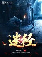 《迷径》小说封面