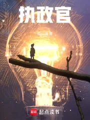 《执政官》小说封面