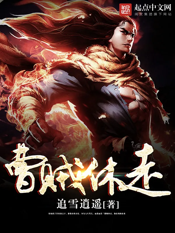 《曹贼休走》小说封面