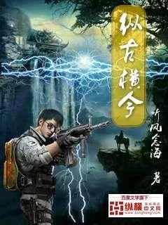 《纵古横今》小说封面