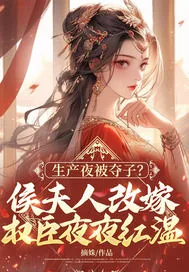 《生产夜被夺子?侯夫人改嫁权臣夜夜红温》小说封面