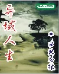 《异域人生》小说封面