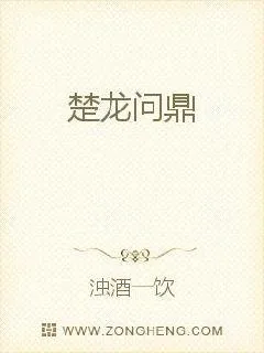 《楚龙问鼎》小说封面