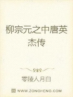 《柳宗元之中唐英杰传》小说封面