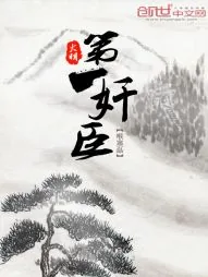 《大明第一奸臣》小说封面