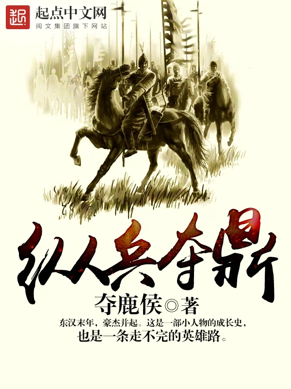 《纵兵夺鼎》小说封面