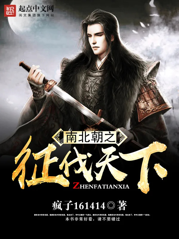 《南北朝之征伐天下》小说封面