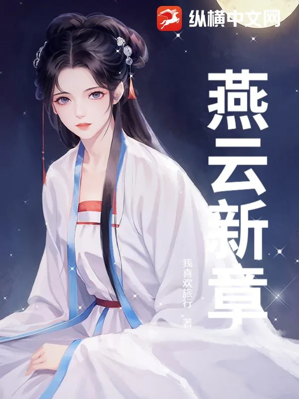 《燕云新章》小说封面