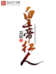 《皇帝红人》小说封面