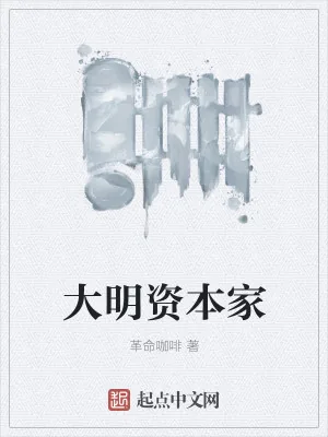 《大明资本家》小说封面