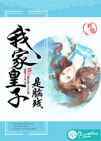 《我家皇子是脑残》小说封面