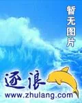 《大明国贼》小说封面