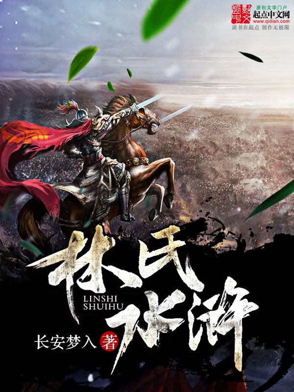 《林氏水浒》小说封面