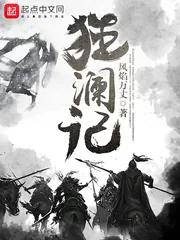 《狂澜记》小说封面