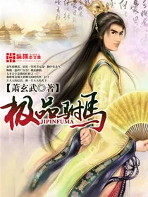 《极品驸马》小说封面