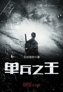 《单兵之王》小说封面