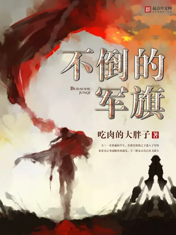 《不倒的军旗》小说封面