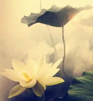 《新之年旧闻》小说封面