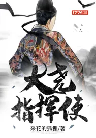 《大尧指挥使》小说封面