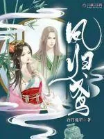 《凤归鸢》小说封面