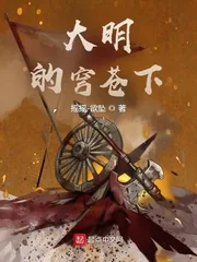 《大明的穹苍下》小说封面