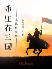 《重生在三国之乱世枭雄》小说封面