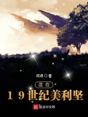 《混在19世纪美利坚》小说封面