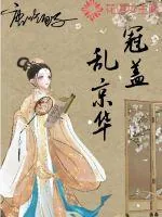 《冠盖乱京华》小说封面
