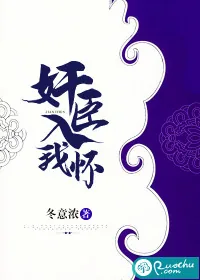 《奸臣入我怀》小说封面