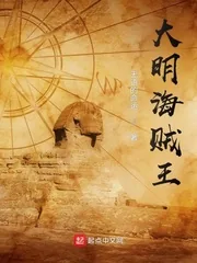 《大明海贼王》小说封面