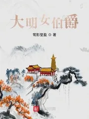 《大明女伯爵》小说封面