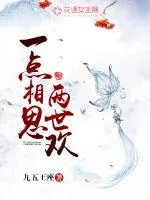 《一点相思两世欢》小说封面