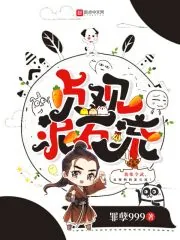 《贞观泥石流》小说封面