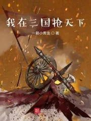 《我在三国抢天下》小说封面