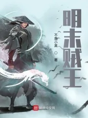 《明末贼王》小说封面