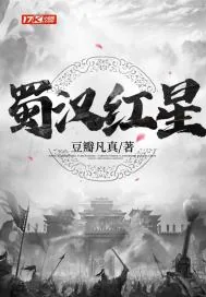 《蜀汉红星》小说封面