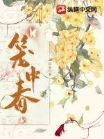 《笼中春》小说封面