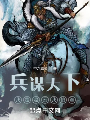 《兵谋天下，我是赵云我怕谁》小说封面