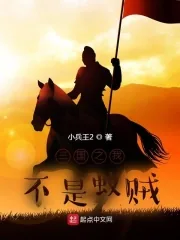 《三国之我不是蚁贼》小说封面