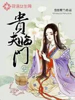 《贵夫临门》小说封面