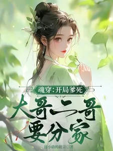 《魂穿:开局爹死,大哥二哥要分家》小说封面