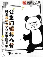 《公主们恨我入骨，因为我和七个公主不清不楚》小说封面