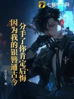《分手了你肯定后悔,因为我的银簪通古今》小说封面